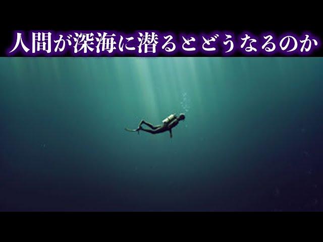 【ゆっくり解説】人間がマリアナ海溝の最深部に潜るとどうなるのか