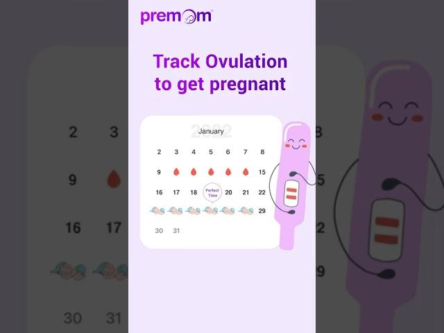 Menstrual Cycle & Fertility Calculator