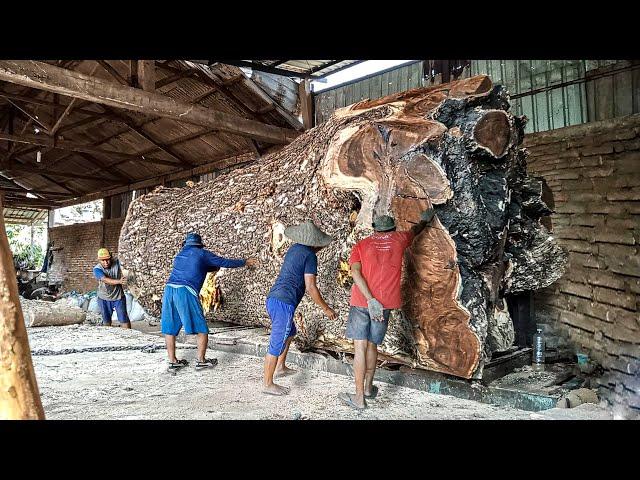 The legend of the trembesi wood fiber from Mount Lokon, Sulawesi!! bought up by Dutch citizens