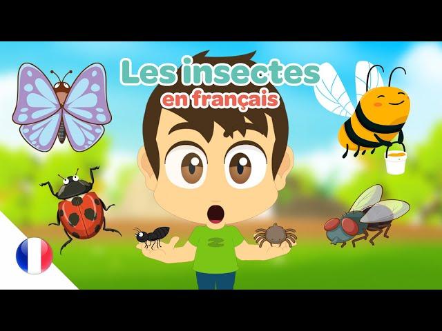 Learn Insect Names in French | insect for kids - Learn French with Zakaria