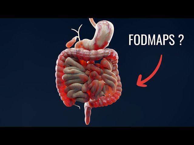 The Low FODMAP Diet Beginner’s Guide