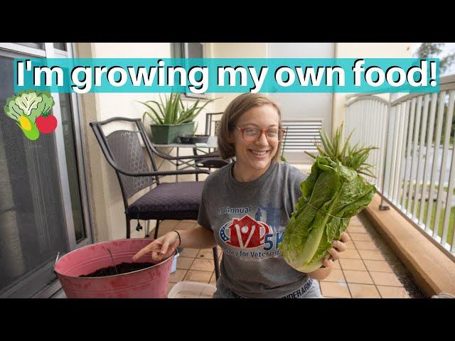 STARTING  AN APARTMENT GARDEN | How to grow food in a small space