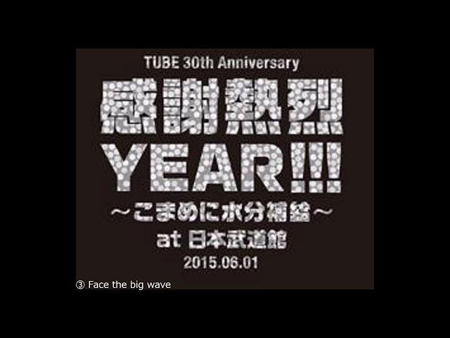 【耳で聴くライブ】2015年『TUBE 30 th Anniversary 感謝熱烈YEAR!!! ～こまめに水分補給～ at 日本武道館』セットリスト【作業用BGM】