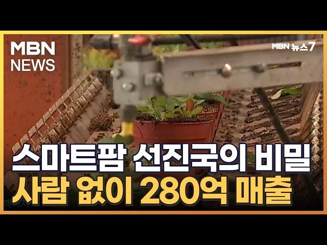 [미래농업을 열다①] 50명 직원에 연매출 280억…농업 강국 네덜란드 비결은 '스마트' [MBN 뉴스7]