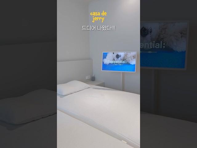 30분만에 품절됐다는 #스탠바이미2