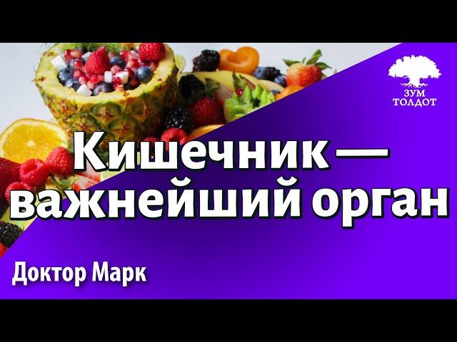 Кишечник — важнейший орган, второй мозг в организме. Др. Марк