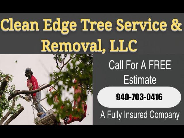 Tree Removal-Red Oak - Denton, TX - Clean Edge Tree Service & Removal - 940-783-7023