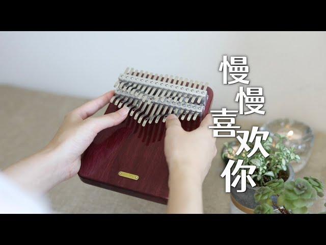 莫文蔚 Karen Mok - 慢慢喜歡你 - Kalimba Cover