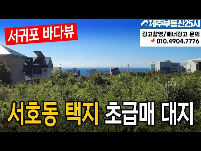 [매물번호0429] 서호동 택지 초급매 대지 #제주도부동산