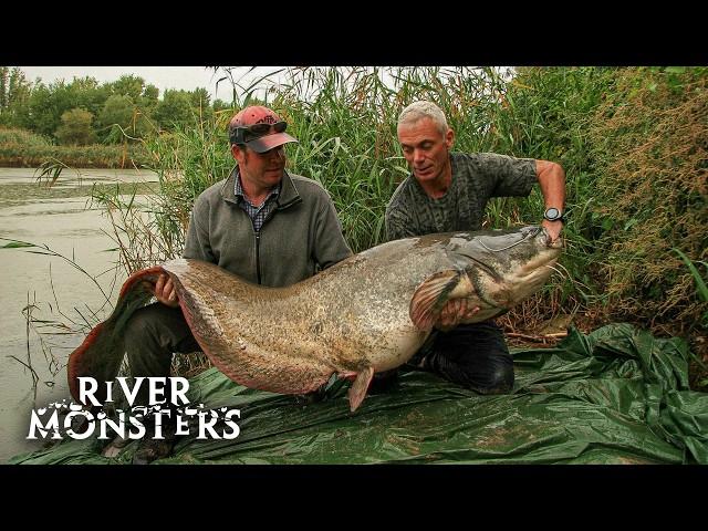 River Monsters Full Episode - Season 1, Episode 3 - European Maneater