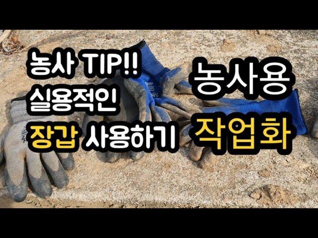 사소하지만 실용적인 농사 팁~~^^