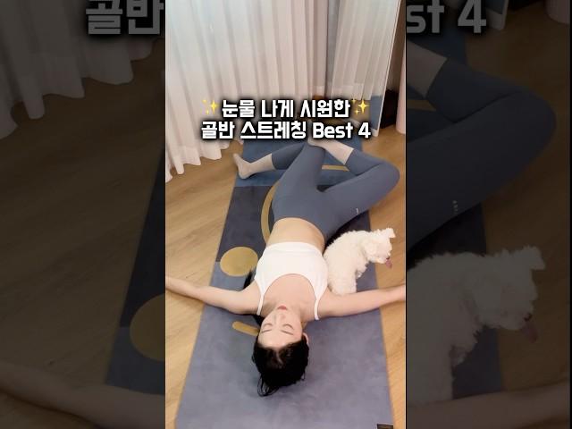 눈물나게 시원한 골반스트레칭 4동작 #홈필라테스 #골반스트레칭
