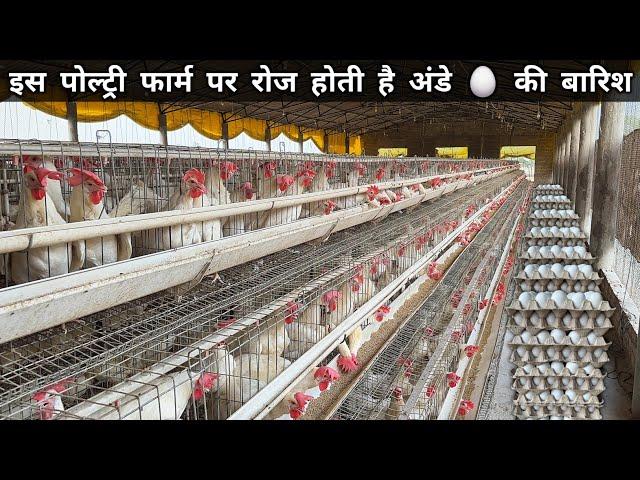 50 लाख का Egg Poultry Farm Business Plan | Layer Poultry Farming