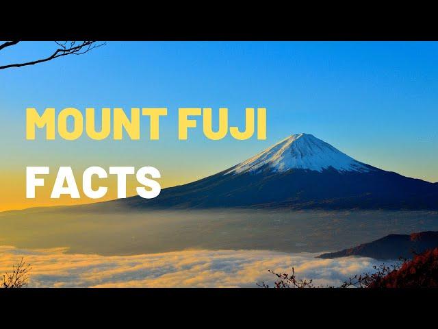 Exploring the Wonders of Mount Fuji | A Fun and Educational Video for Kids