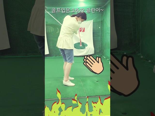 골프입문 1주차 골린이의 똑딱이