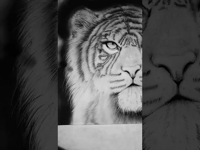 Painting the beautiful tiger #chiaroscuro #painting #drawing #tiger #black&white #art #techno #short