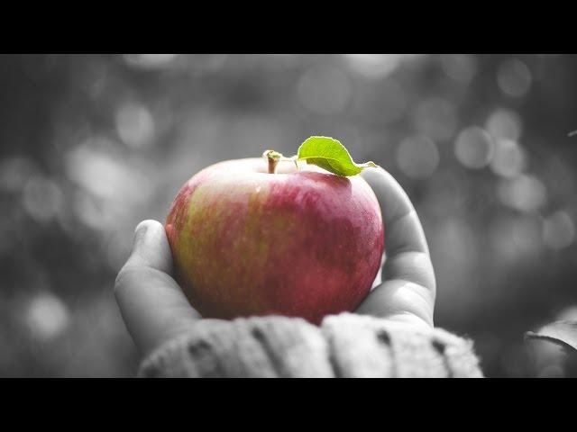 Color Splash Effect Photoshop - Make one object color and rest black and white - Sin City effect