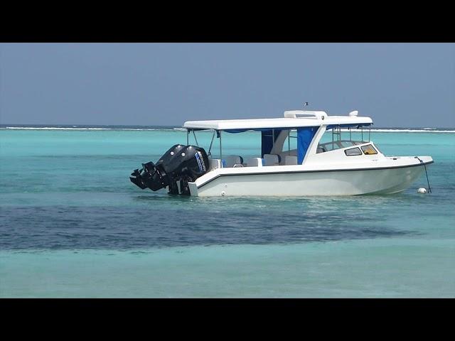 Thoddoo Island (Maldives) HD 2019