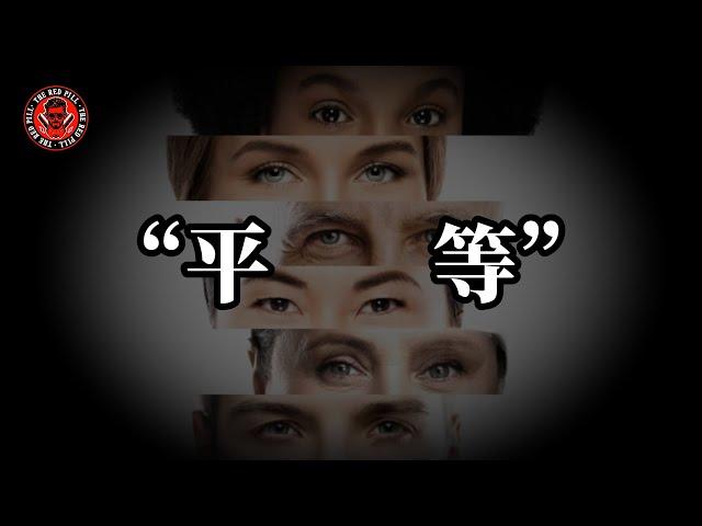 為什麽平等不是眞正健康的關繫｜紅色藥丸｜紅丸覺醒 ｜CC字幕