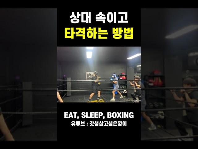 복린이도 상대방을 속일 수 있을까? #shorts #복싱스파링 #복싱