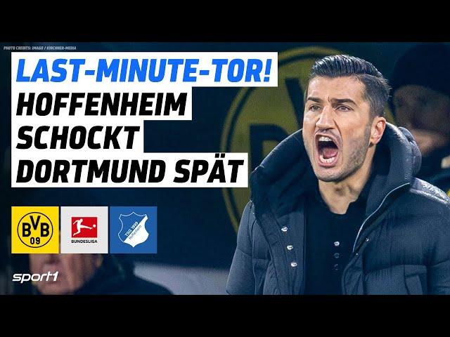 Borussia Dortmund - TSG Hoffenheim | Bundesliga Tore und Highlights 14. Spieltag