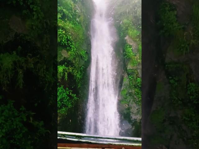 Paglajhora Falls #paglajhora #waterfalls #falls #kurseongtour