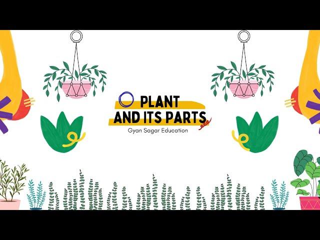 Plants And It's Parts #plantanditsparts #partsofplants #kids #education #science