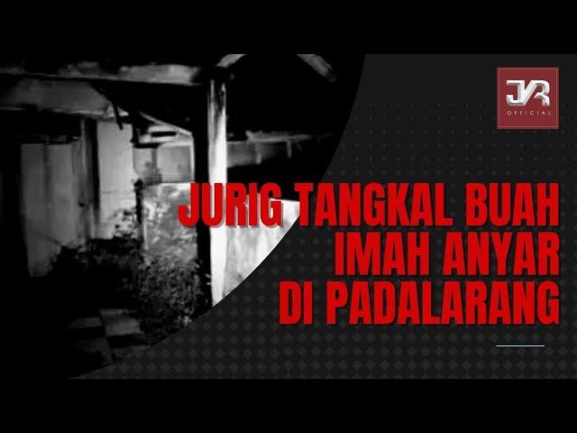 JURIG TANGKAL BUAH IMAH ANYAR DI PADALARANG ( JKR Official 2022 )