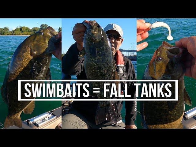 Swimbaits for big Fall Smallies - Lake Ontario Smallmouth Bass 2021