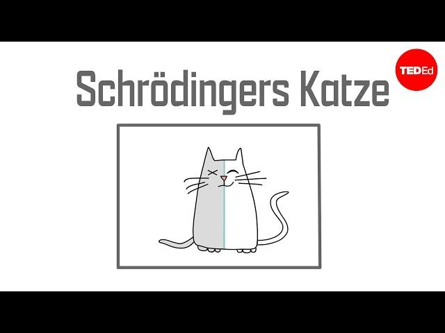 Schrödingers Katze: Ein Gedankenexperiment der Quantenmechanik – Chad Orzel