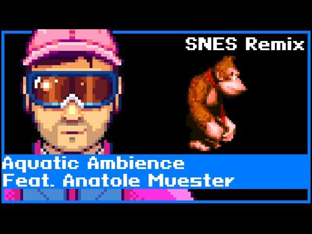 "Aquatic Ambience" from Donkey Kong Country BUTTON MASHER COVER (feat. Anatole Muster)