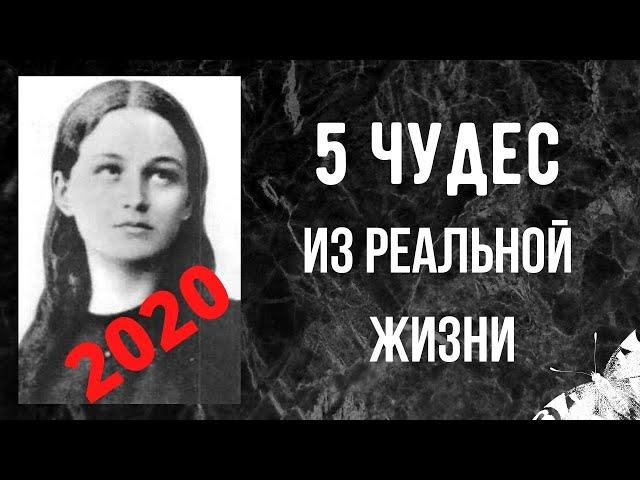 5 Невероятных Чудес Из Реальной Жизни, В Которые Сложно Поверить