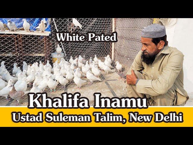 Khalifa Inamu Ka Shok, Ustad Suleman (Alauddin) Talim, Zakir Nagar, Okhla, New Delhi