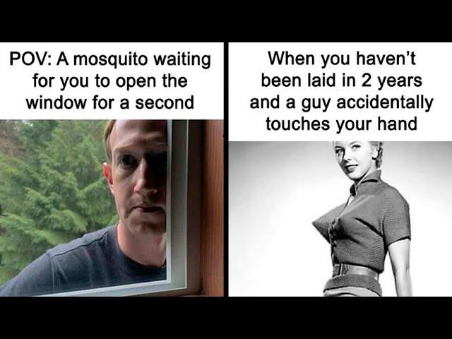 Hilarious Memes To Brighten Up Your Day (NEW) | Funny Daily