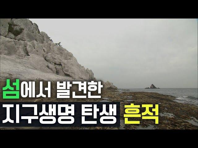 섬에서 발견한 지구생명탄생의 흔적들[살아있는 자연사박물관 섬 01]