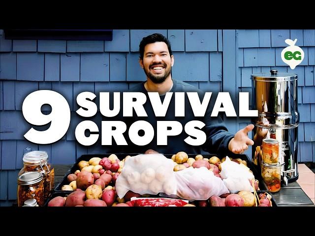 9 Survival Gardening Crops to Grow in a Post Apocalyptic World