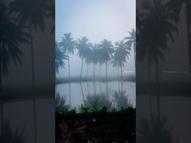 Good Morning Konaseema ️ #village #shorts #konaseema #winter #fog #music #telugu #amalapuram #like