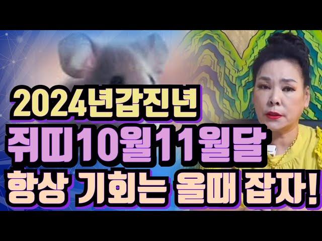 #신점#점집#쥐띠운세?2024년갑진년 쥐띠 10월11월운세? 운은 들어올때 잡아야 한다