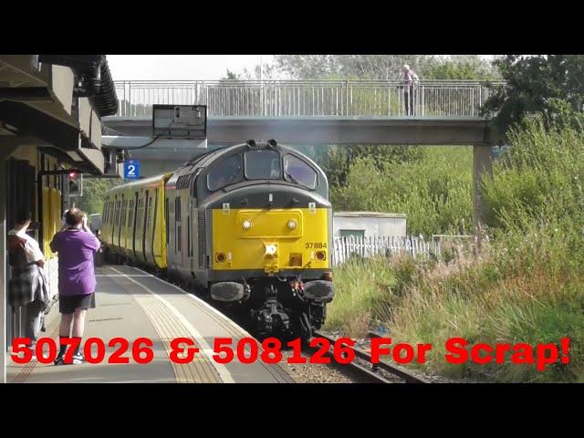 Trains At Bidston 8th September 2023