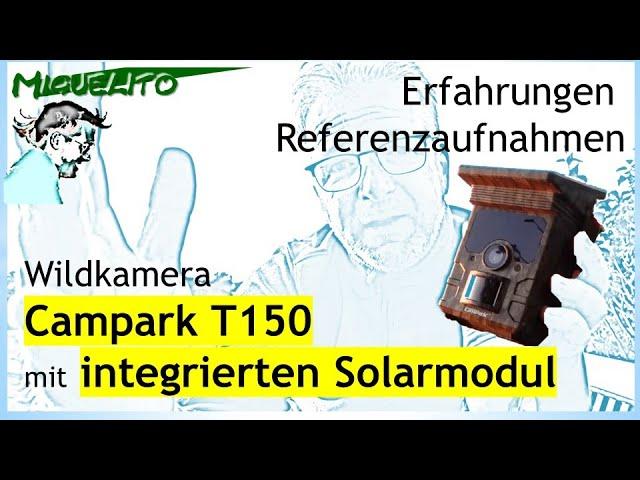 Begeisterung | Wildkamera Campark T150 mit Solar-Panel |  Igel sind Anfang Oktober noch unterwegs