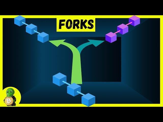 Blockchain FORKS - das Wichtigste einfach erklärt