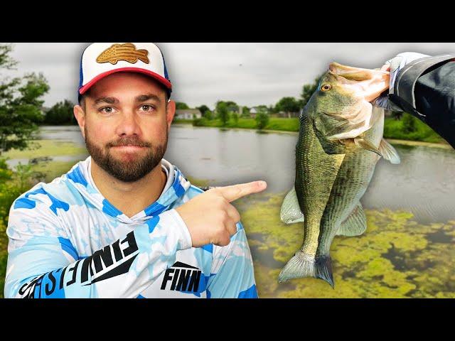 This One TIP Will 3x Your CATCH RATE