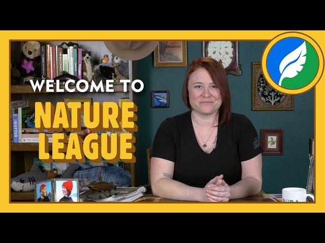 Welcome to Nature League!