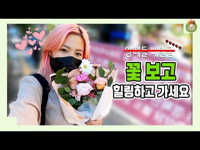 [VLOG] 원주 | 스케치 | 꽃 | 일상 | 양언니양떼목장