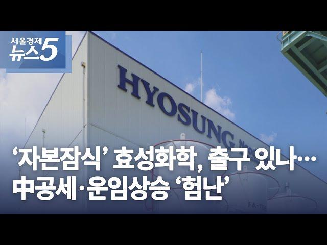 ‘자본잠식’ 효성화학, 출구 있나…中공세·운임상승 ‘험난’