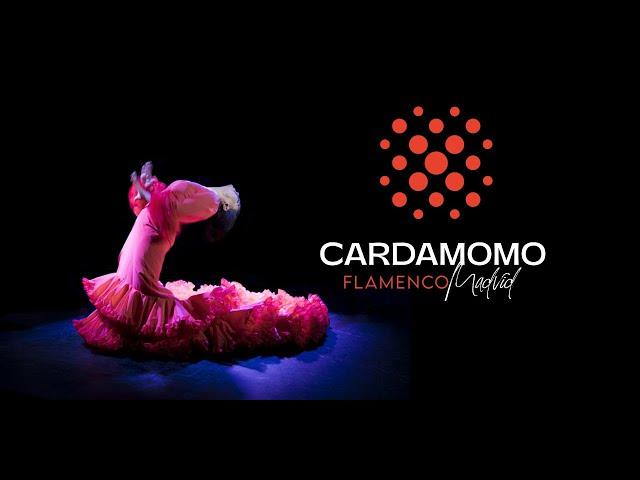 Flamenco Madrid • Tablao Cardamomo