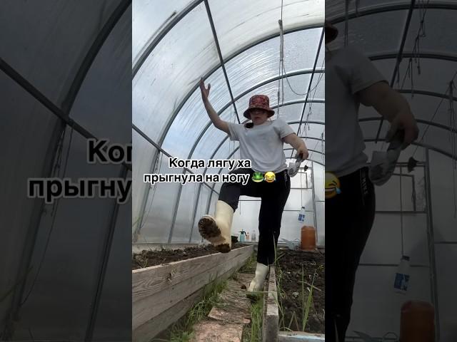 #весна #юмор #дача #моядача #прикол #моядача #загородныйдом #теплица #лягуха