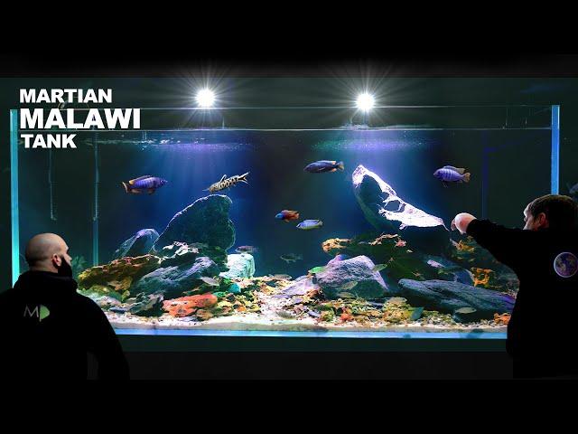 Martian Malawi Cichlid Aquarium (aquascape tutorial)