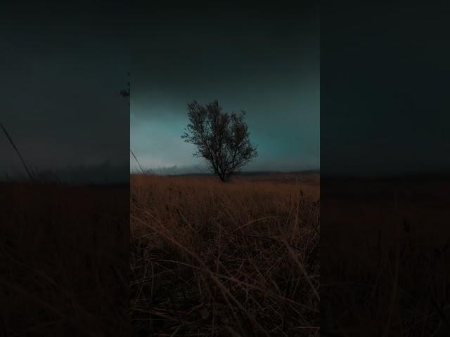 #darkaesthetic #dark #nature #naturetiktok #moody #wind # aesthetic #moodyvibes