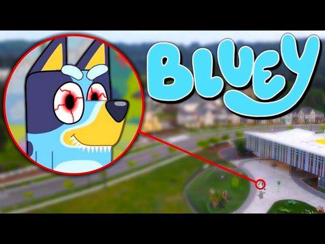 Drone Catches BLUEY HEELER From BLUEY IN REAL LIFE!! *BINGO, BANDIT & CHILLI*